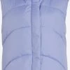Vila Bodywarmers Bodywarmer Dames Blauw -Vila 49d035e32c74abd6d0da669a7157e46e