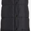Vila Bodywarmers Bodywarmer Dames Zwart 1 Vila Bodywarmers Bodywarmer Dames Zwart -Vila 5f7ad24c16dcad6a9fa9479597201bd4