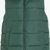 Vila Bodywarmers Bodywarmer Dames Groen -Vila 65bc54d15fec7496949285c3aadae189