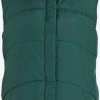 Vila Bodywarmers Bodywarmer Dames Donkergroen -Vila 86688e71a065cef16ea28822024f12d4